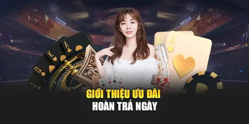 Giới thiệu ưu đãi hoàn trả ngày