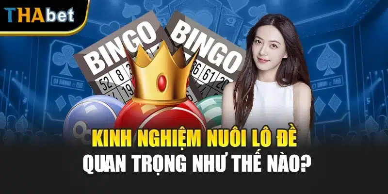 Kinh nghiệm nuôi lô đề quan trọng như thế nào?