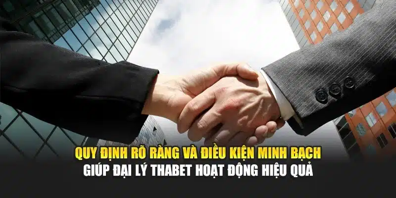 Quy định rõ ràng và điều kiện minh bạch giúp đại lý Thabet hoạt động hiệu quả