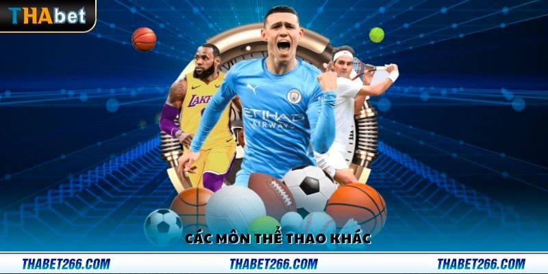 Đa dạng các môn thể thao khác 