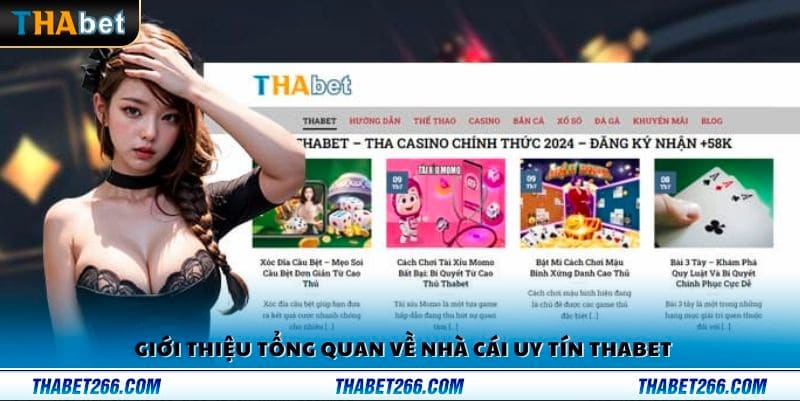 Tổng quan về nhà cái uy tín Thabet 